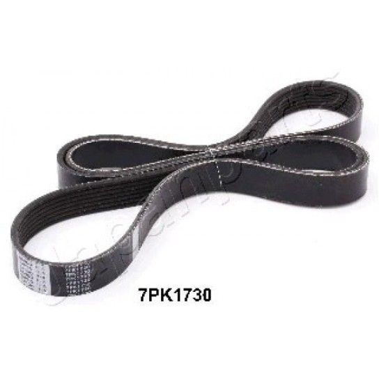 CORREIA VENTONHA  25212-4A010          