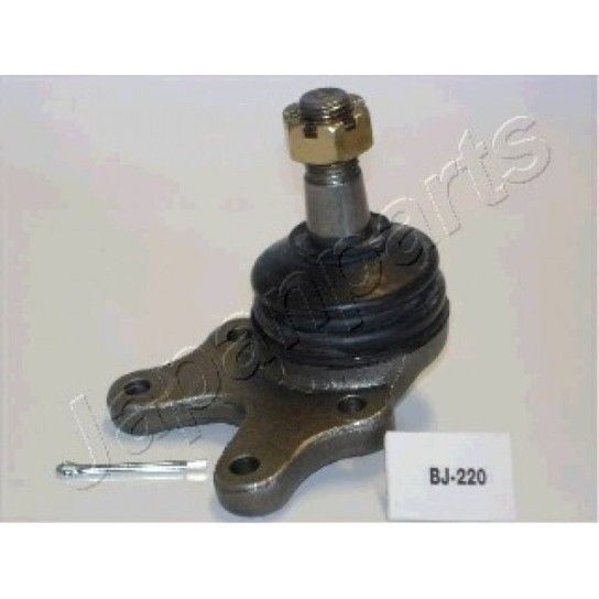 R/SUSP SUP LH50,51 SB2481 R/SUSP SUP LH50,51 SB2481