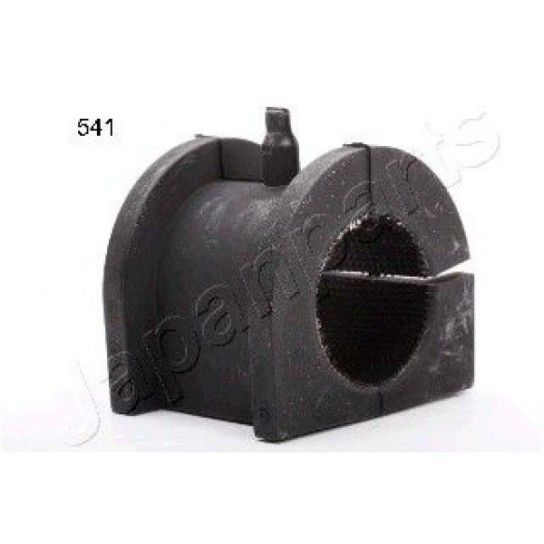 CASQ BORR B/ESTAB FTE MN100250 CASQ BORR B/ESTAB FTE MN100250