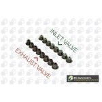 JG VEDANTES VALVULAS BGA                