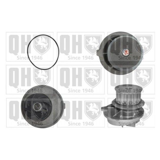 BOMBA  AGUA QUINTON HAZELL              