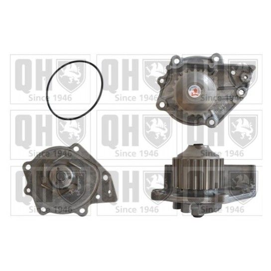 BOMBA AGUA QUINTON HAZELL               