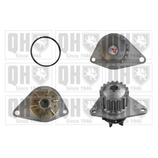 BOMBA AGUA QUINTON HAZELL               