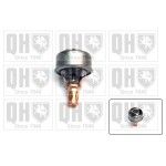 TERMOSTATO QUINTON HAZELL               