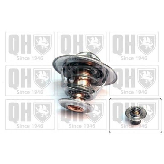 TERMOSTATO QUINTON HAZELL               