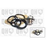 TERMOSTATO QUINTON HAZELL               