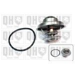 TERMOSTATO QUINTON HAZELL               