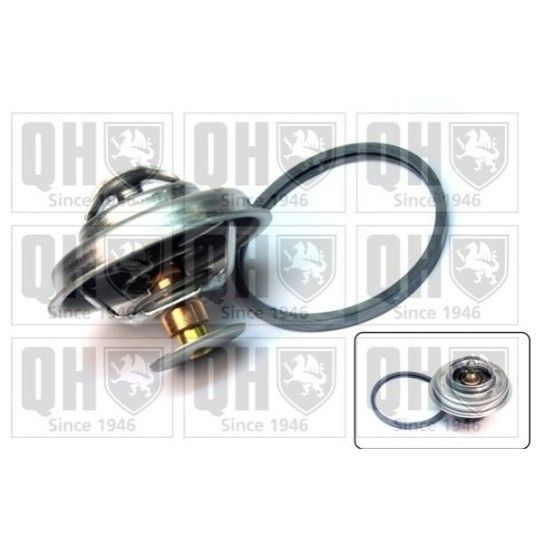 TERMOSTATO QUINTON HAZELL               