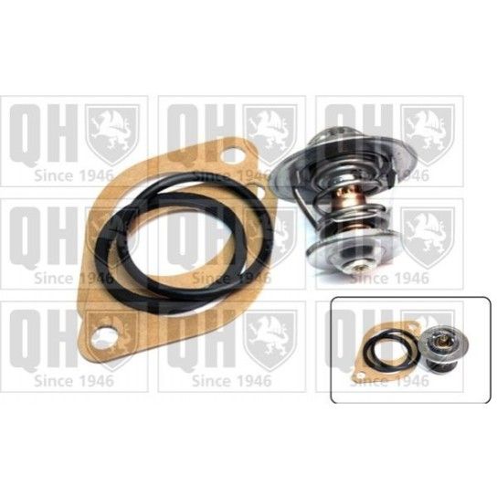 TERMOSTATO QUINTON HAZELL               