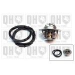 TERMOSTATO QUINTON HAZELL               