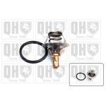 TERMOSTATO QUINTON HAZELL               