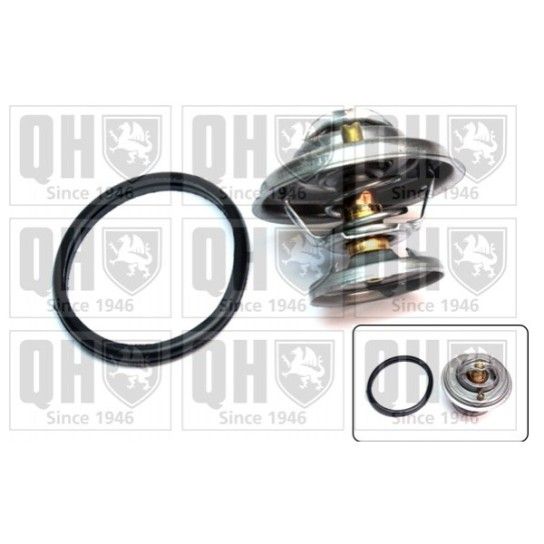 TERMOSTATO QUINTON HAZELL               