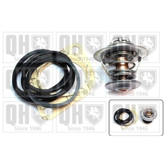 TERMOSTATO QUINTON HAZELL               