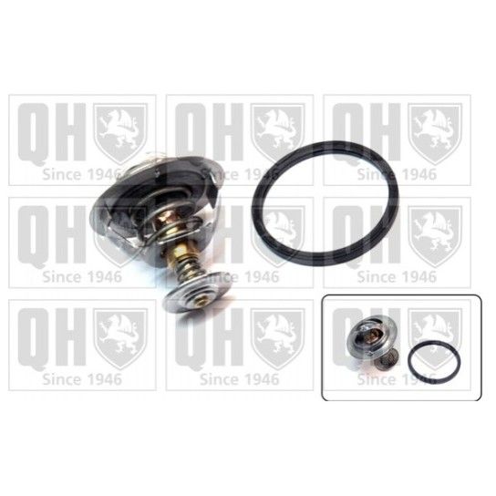 TERMOSTATO QUINTON HAZELL               