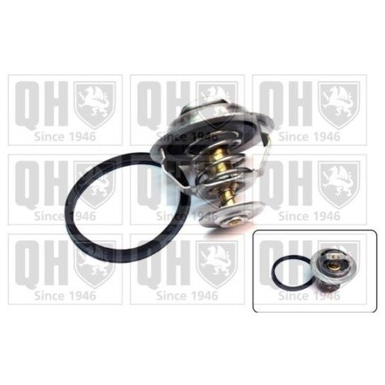 TERMOSTATO QUINTON HAZELL               