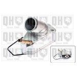 TERMOSTATO QUINTON HAZELL               