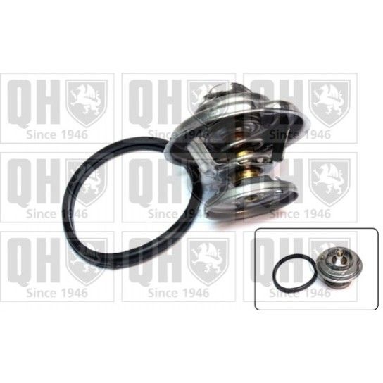 TERMOSTATO QUINTON HAZELL               