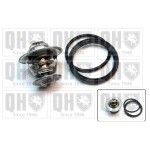 TERMOSTATO QUINTON HAZELL               