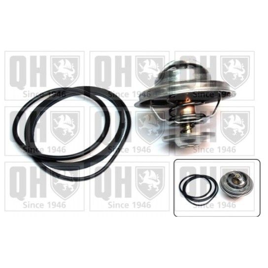 TERMOSTATO QUINTON HAZELL               