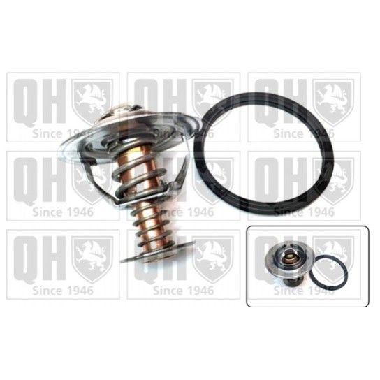 TERMOSTATO QUINTON HAZELL               