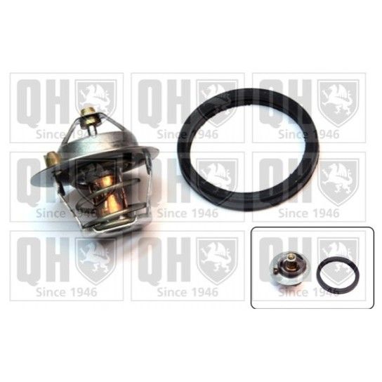 TERMOSTATO QUINTON HAZELL               