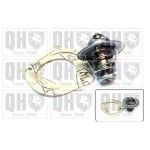 TERMOSTATO QUINTON HAZELL               