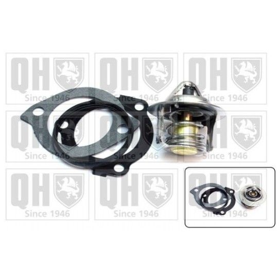 TERMOSTATO QUINTON HAZELL               