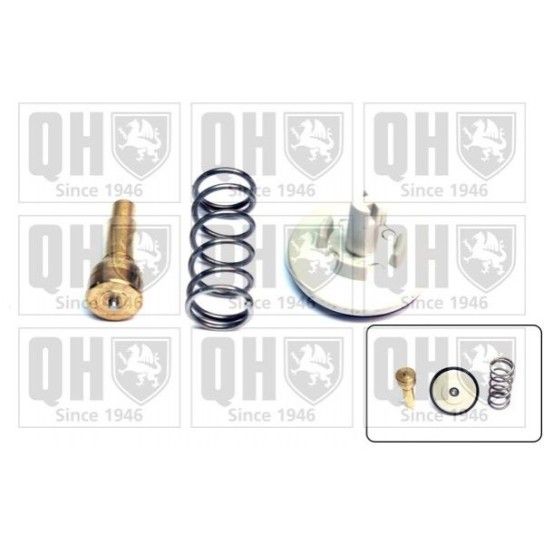 TERMOSTATO QUINTON HAZELL               