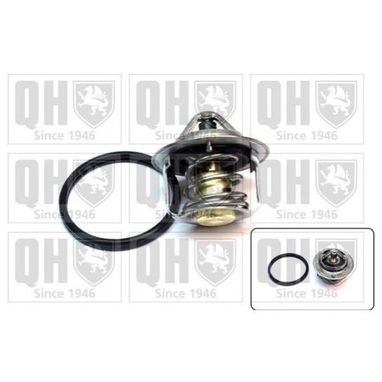 TERMOSTATO QUINTON HAZELL               