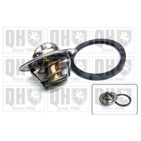 TERMOSTATO QUINTON HAZELL               