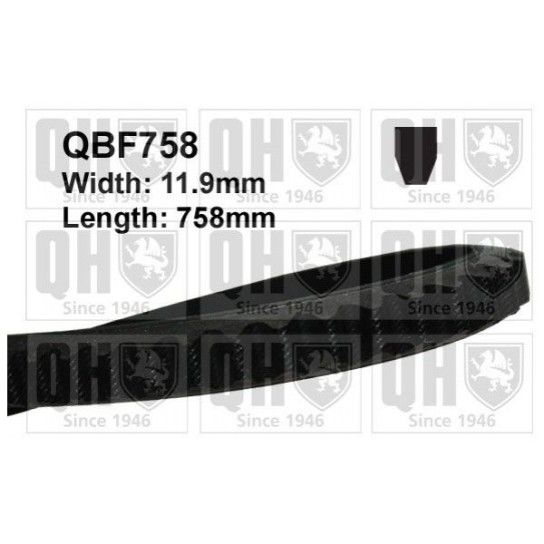 CORREIA VENTONHA QUINTON HAZELL        