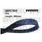 CORREIA VENTONHA QUINTON HAZELL        