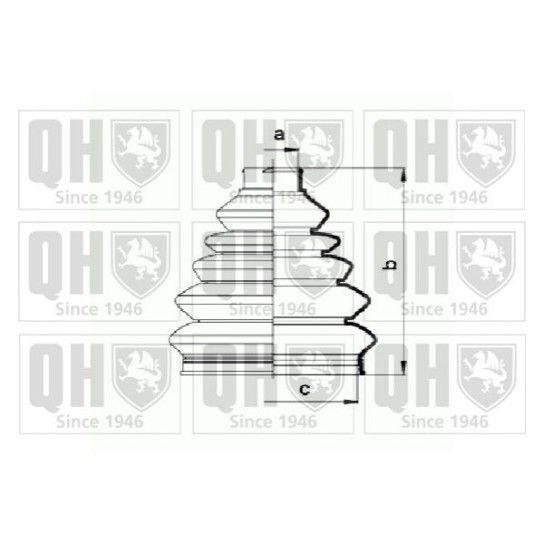 FOLE TRANSMISS�O QUINTON HAZELL         