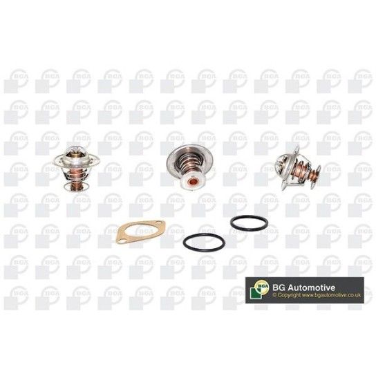 TERMOSTATO BGA                           TERMOSTATO BGA