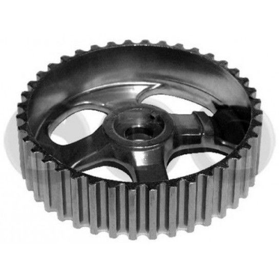 POLIE STC/CAUTEX POLIE STC/CAUTEX