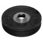 POLI CAMBOTA STC/CAUTEX                 