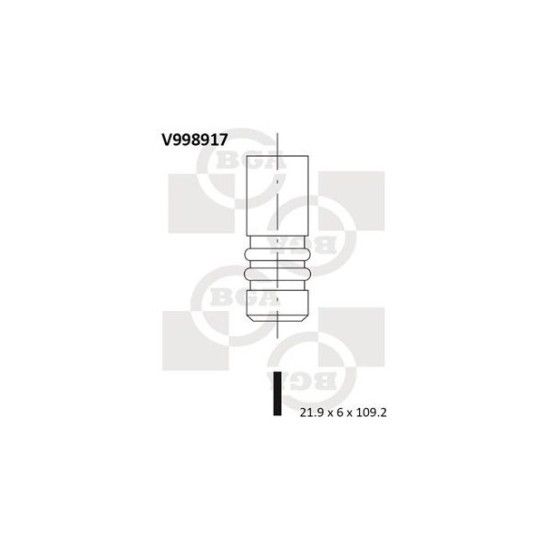 VALVULA DE ESCAPE BGA                    VALVULA DE ESCAPE BGA