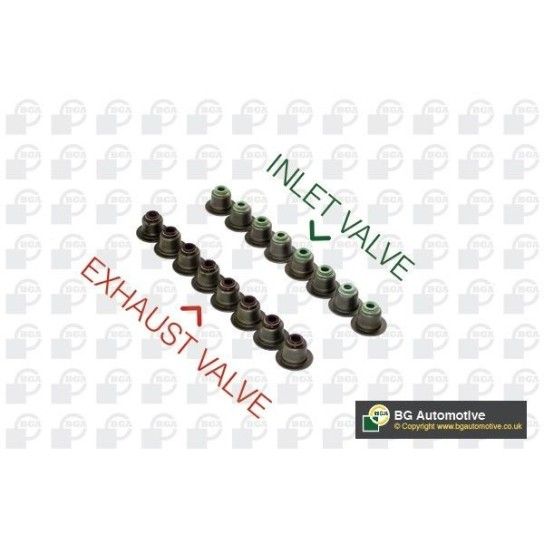 VEDANTES DE VALVULAS BGA                