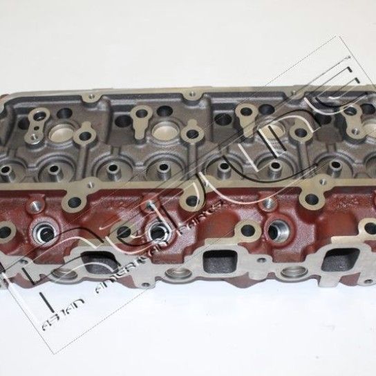 CABE�A MOTOR RED-LINE                   