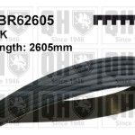 CORREIA VENTONHA QUINTON HAZELL        