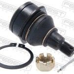 R�TULA BRA�O SUSP                       