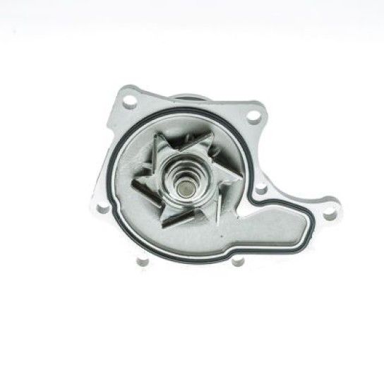 B/AGUA WPG-001V AISIN                   