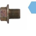 BUJAO TOYOTA BUJAO TOYOTA