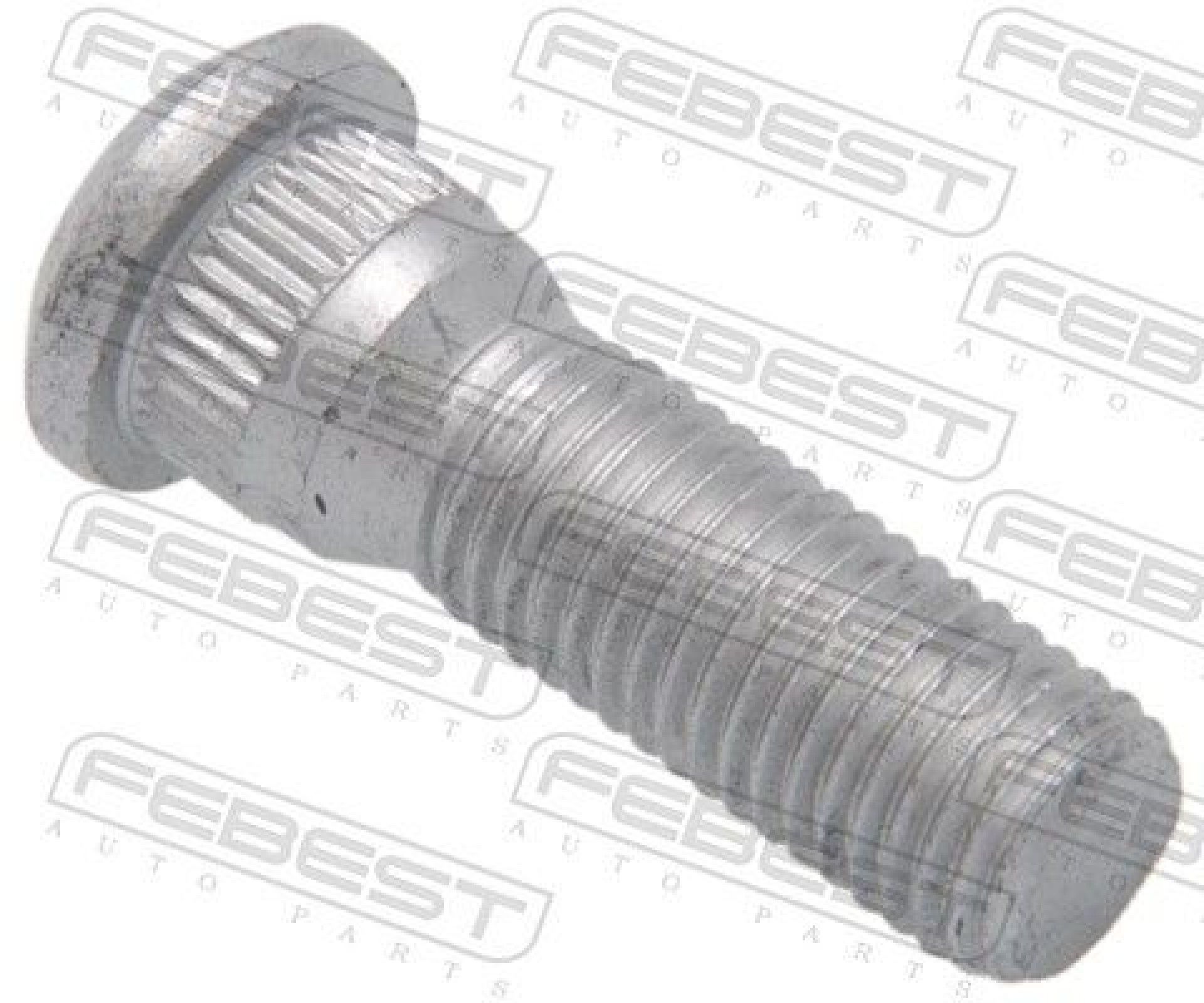 PERNE RODA FEBEST PERNE RODA FEBEST