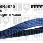 CORREIA VENTO�NHA QUINTON HAZELL        