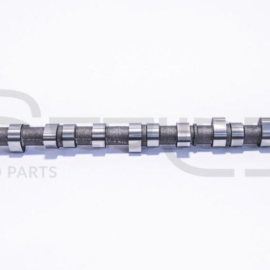 ARVORE CAMES RED-LINE ARVORE CAMES RED-LINE