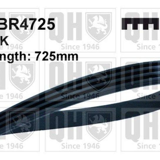 CORREIA VENTO�NHA QUINTON HAZELL        