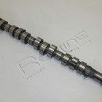 RVORE DE CAMES RED-LINE                