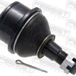 R�TULA SUSPENS�O                        