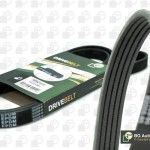 CORREIA "PK" BGA                        